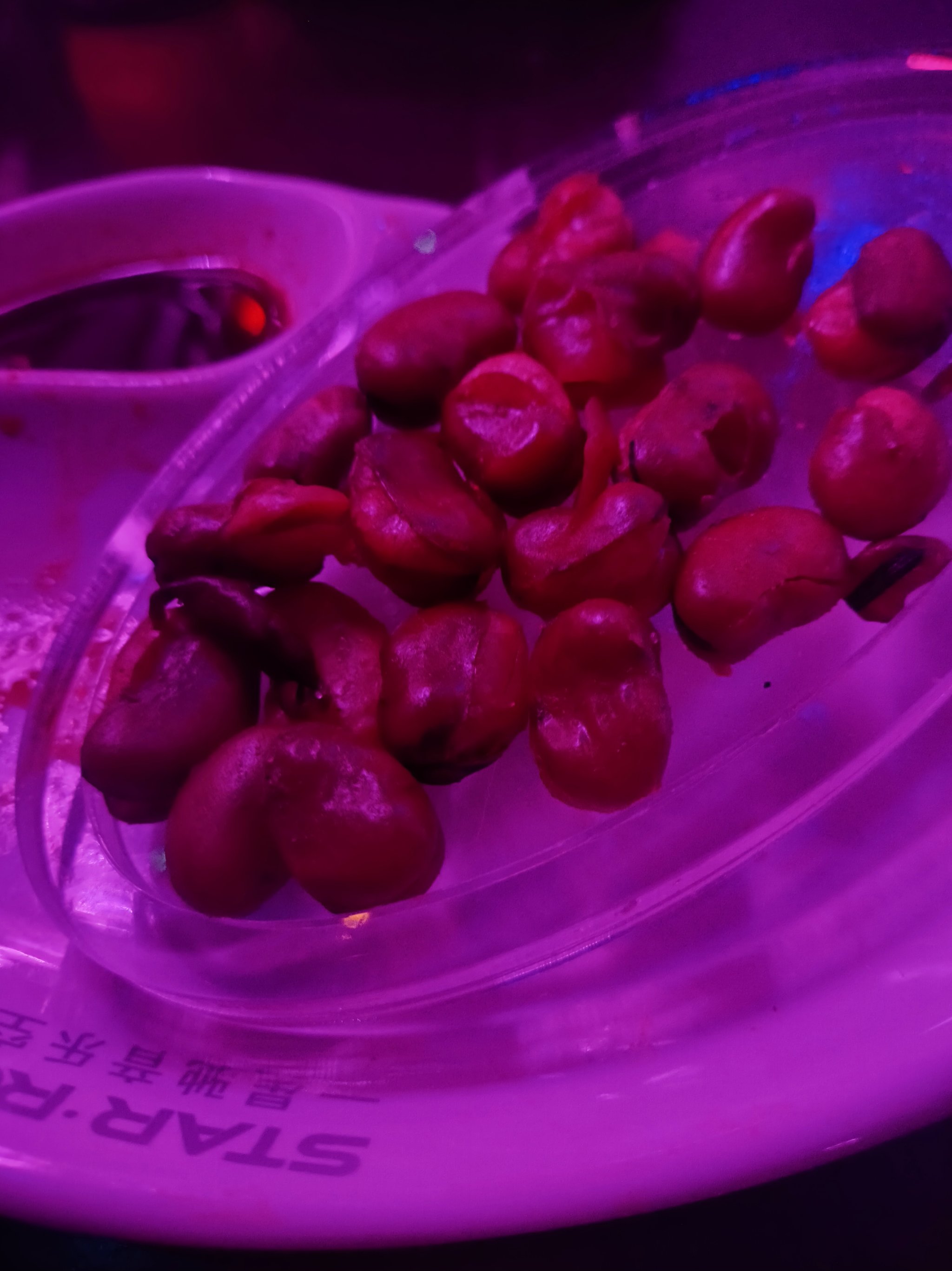 沧州商务ktv优选性价比商务ktv-吴桥县ktv预订